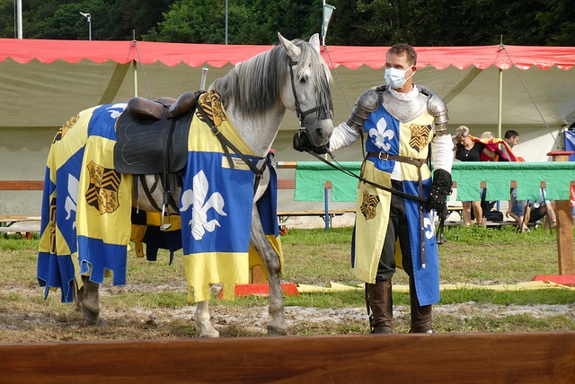 者将